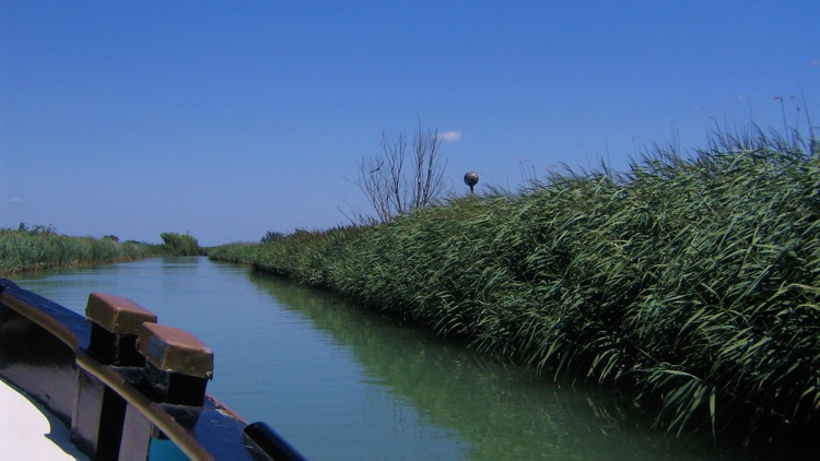 Fahrt durch die Lagune